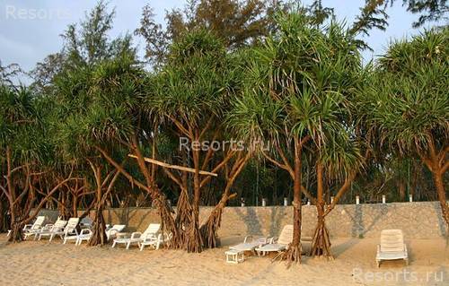 Sugar Palm Karon Resort 44